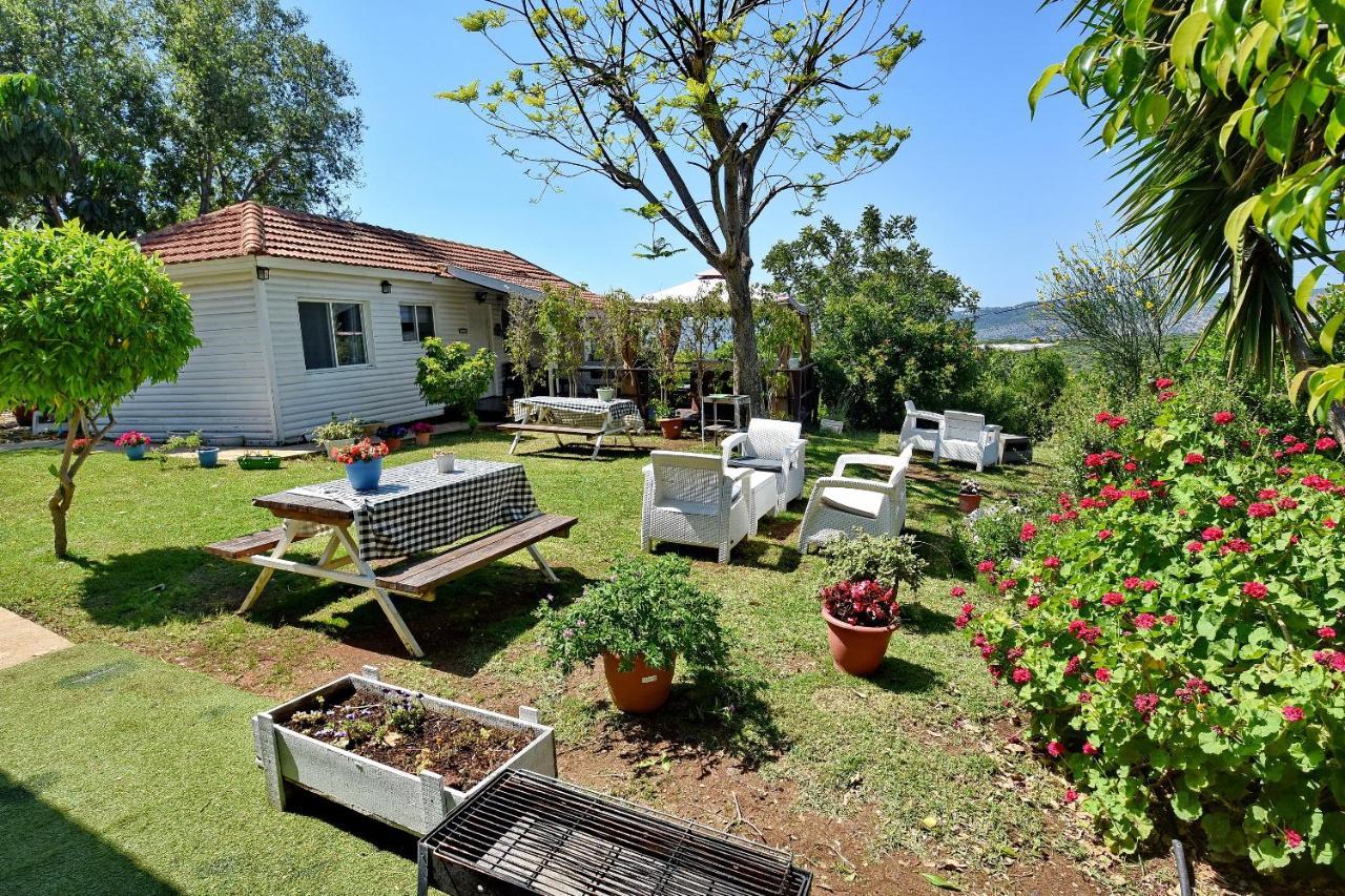 Biktot Nofim Villa Manot Dış mekan fotoğraf
