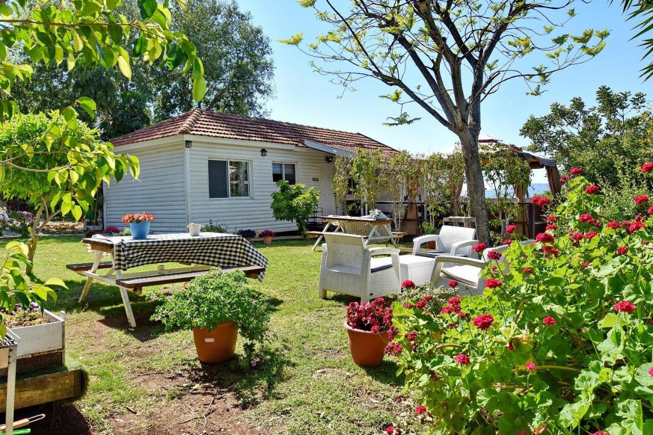Biktot Nofim Villa Manot Dış mekan fotoğraf